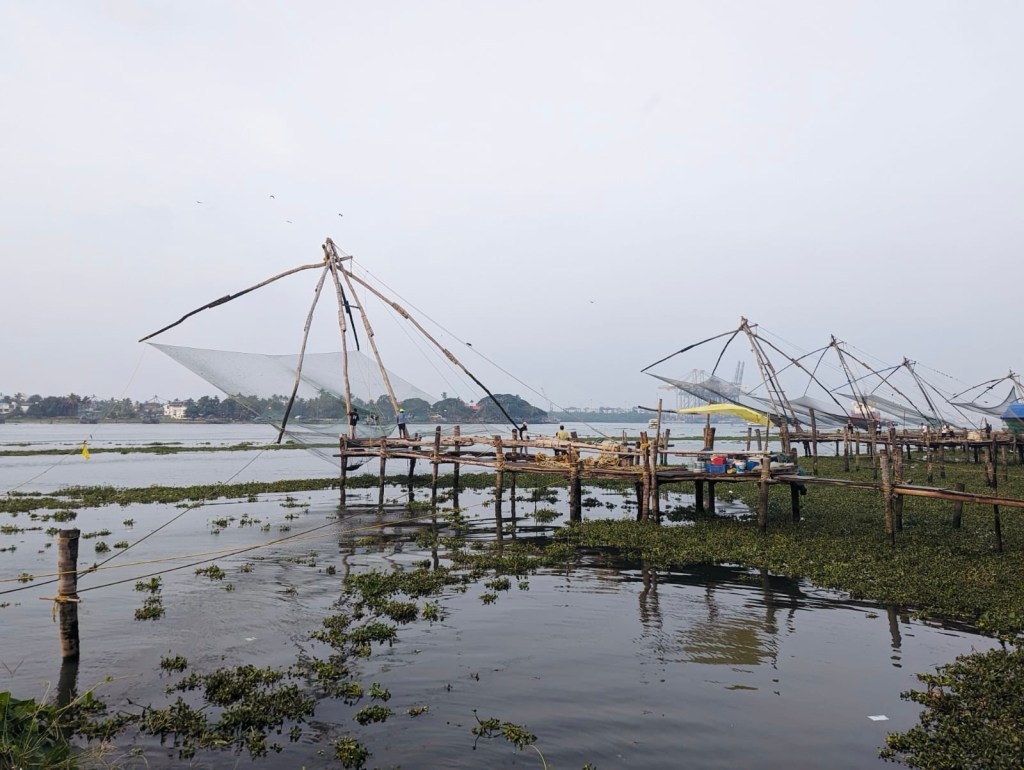 31335381-f28a-46b7-93ad-4d47a282a03f-1